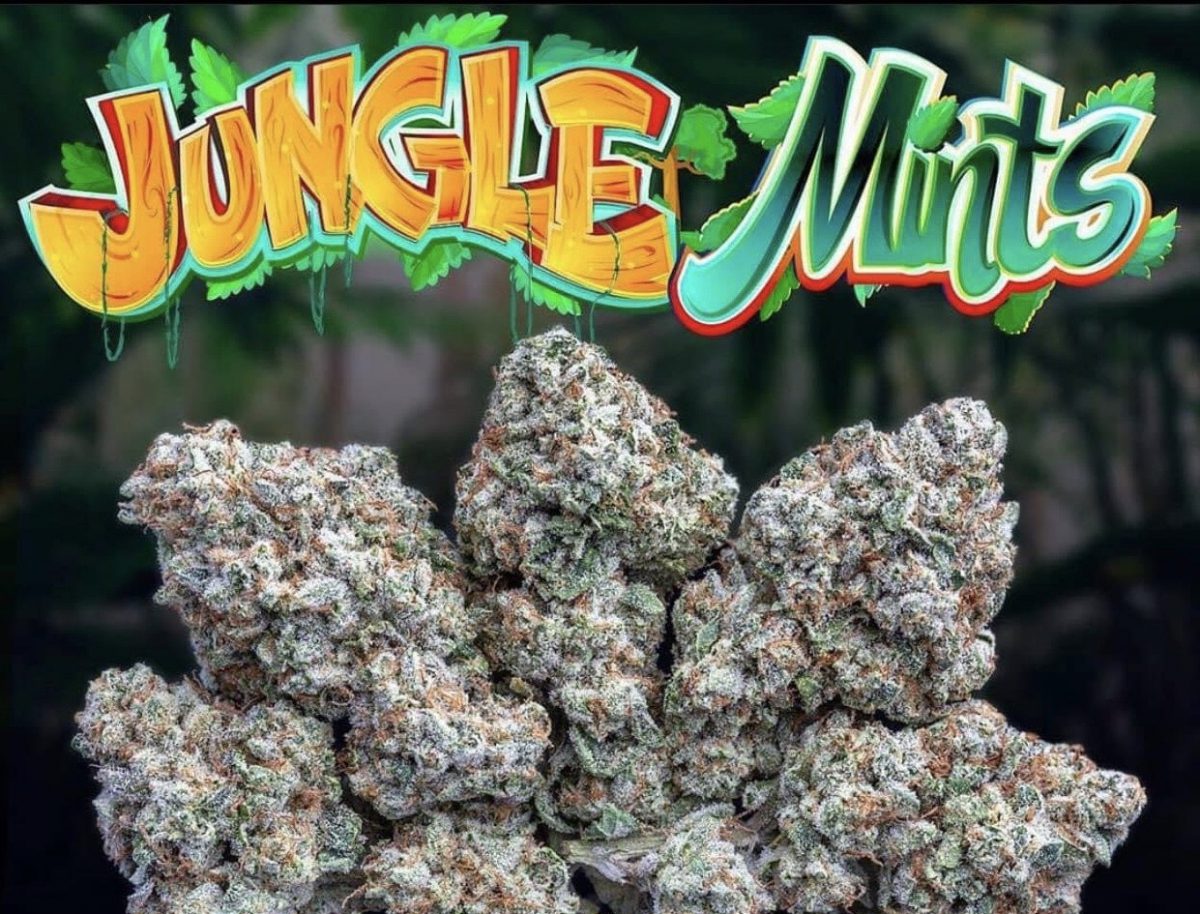 Buy Jungle Mints Jungleboys Online