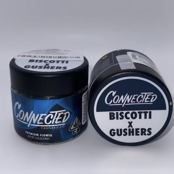 Buy Biscotti X Gusher Connected Online