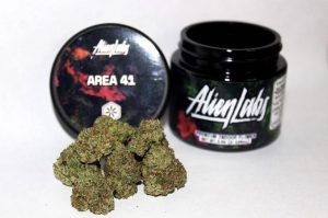 Buy Area 41 Alien Labs Online