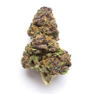 Buy Monster Cookies Strain